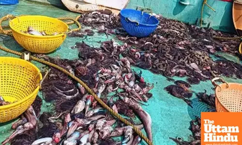 CMFRI-CIFT collaborative pilot study targets harnessing untapped deep-sea resources