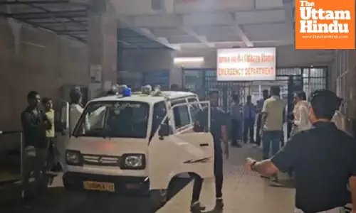 Horror on the Highway: 13 Killed in Horrific Road Crash Near Raipur