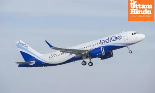 IndiGo, Air India working on gradually restoring flights at reopened airports