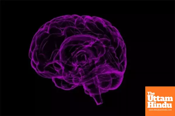 Scientists find molecule that blocks brain cell death in Parkinsons, Alzheimers Scientists find molecule that blocks brain cell death in Parkinsons, Alzheimers