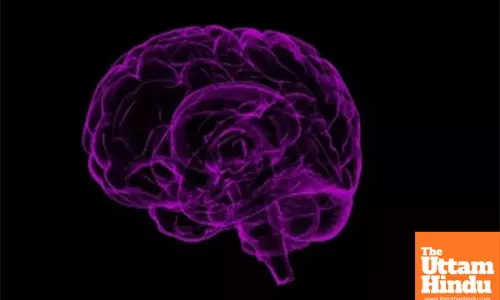 Scientists find molecule that blocks brain cell death in Parkinsons, Alzheimers