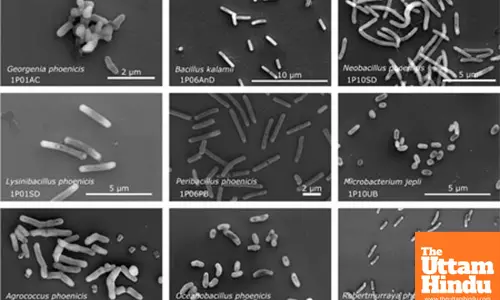 26 new bacterial species in NASA cleanrooms to hold clues to space survival