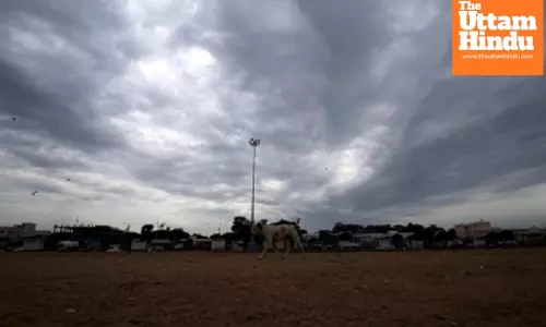 Heavy rain forecast in Western Ghats, interior TN districts till May 16