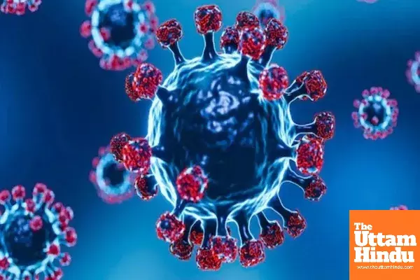 Covid Strikes Back: Mumbai Reports 53 Cases, 2 Deaths