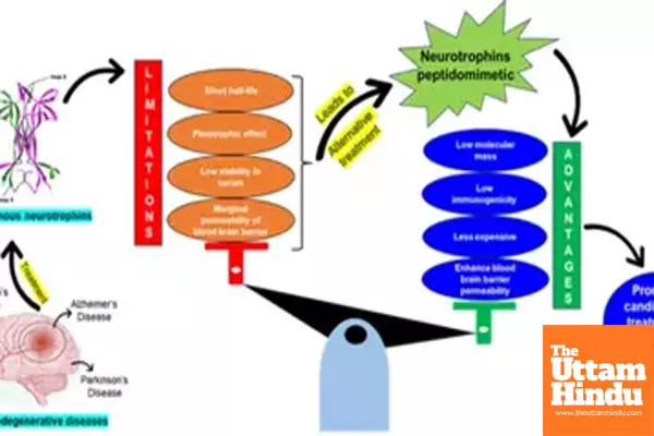 Indian scientists find drugs with potential to treat neurodegenerative disorders