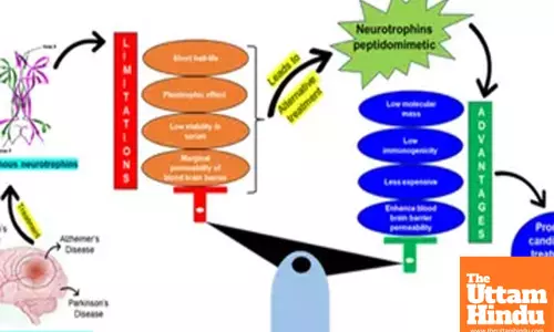 Indian scientists find drugs with potential to treat neurodegenerative disorders
