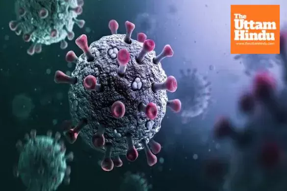 COVID Surge in India: First Death from New Variant Reported in Delhi COVID Surge in India: First Death from New Variant Reported in Delhi