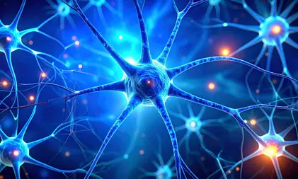 Study shows impact of weight loss drugs on nerve cells in brain