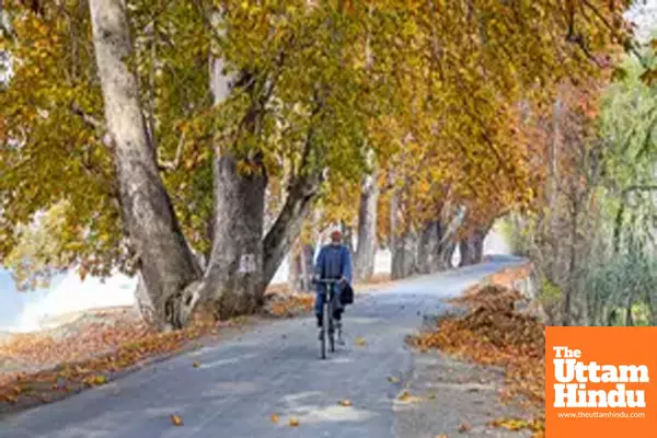 Daylight can boost immune system’s ability to ward off infections: Study Daylight can boost immune system’s ability to ward off infections: Study