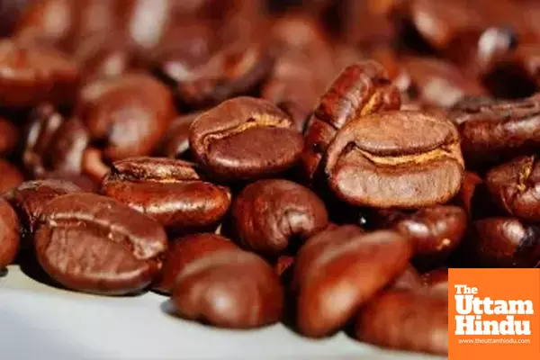 Coffee shops, eateries shrinks in Q1 amid sluggish consumption in S. Korea