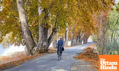 Daylight can boost immune system’s ability to ward off infections: Study