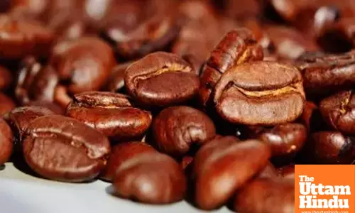 Coffee shops, eateries shrinks in Q1 amid sluggish consumption in S. Korea