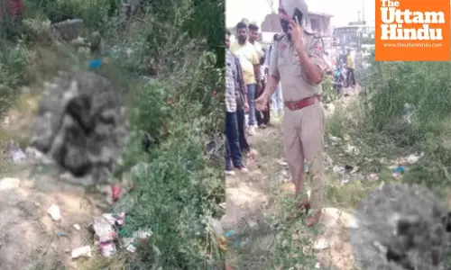 Amritsar Shocked by Morning Explosion: One Dead, Police Suspect Scrap Bomb Mishandling