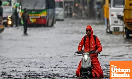 Rain Fury Strikes! Flood-Like Chaos in Delhi-NCR, MP & Maharashtra—Multiple Lives Lost