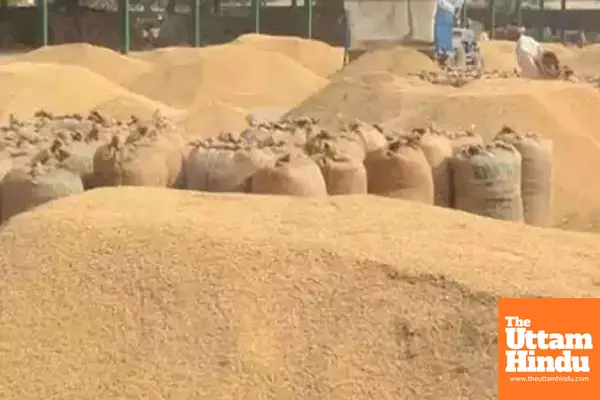 India’s food production surges to record high of 354 million tonnes in 2024-25 India’s food production surges to record high of 354 million tonnes in 2024-25