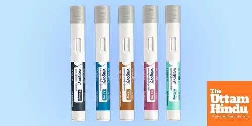 Dr. Reddy’s tells Delhi HC it will not sell Novo Nordisks Ozempic-like drug in India Dr. Reddy’s tells Delhi HC it will not sell Novo Nordisks Ozempic-like drug in India