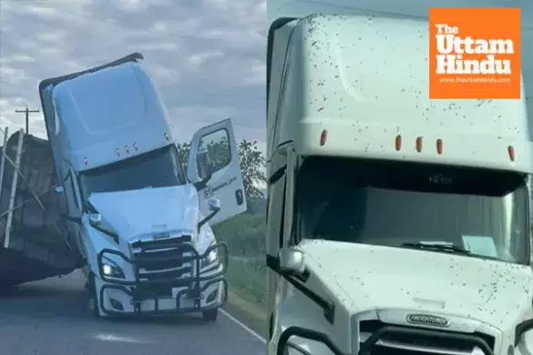 Bee Truck Overturns in U.S., Emergency Warning Issued, Area Sealed Off Bee Truck Overturns in U.S., Emergency Warning Issued, Area Sealed Off