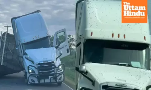 Bee Truck Overturns in U.S., Emergency Warning Issued, Area Sealed Off