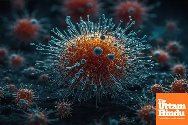 IIT Madras study shows viruses follow seasonal and yearly cycles
