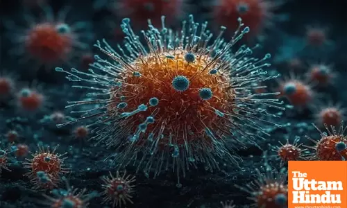 IIT Madras study shows viruses follow seasonal and yearly cycles