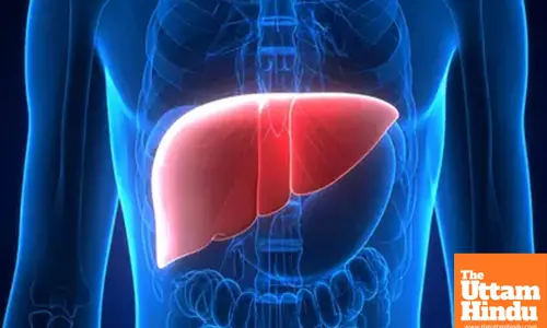 Study shows how plastic particles in food, beverages can harm your liver