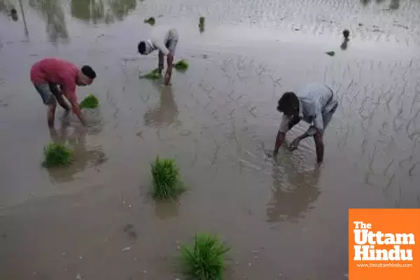 Monsoon bonanza: Agri-linked sectors to see 10-15 pc earnings growth this fiscal Monsoon bonanza: Agri-linked sectors to see 10-15 pc earnings growth this fiscal