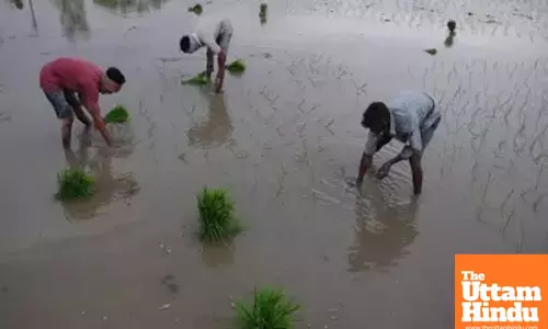 Monsoon bonanza: Agri-linked sectors to see 10-15 pc earnings growth this fiscal