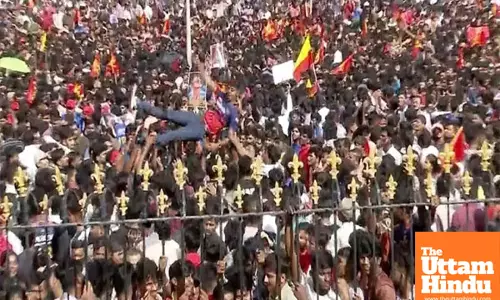 New Crowd Law Coming: Govt. Plans Law with Jail Time for Mismanagement