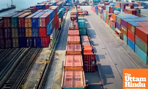 Govt imposes anti-dumping duties on vitamin A, rubber chemical imports from China, Japan, EU