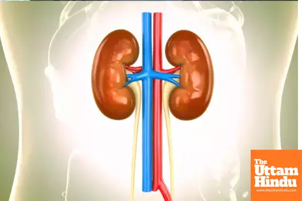Prior Covid vaccination proved beneficial for acute kidney injury patients: Study Prior Covid vaccination proved beneficial for acute kidney injury patients: Study