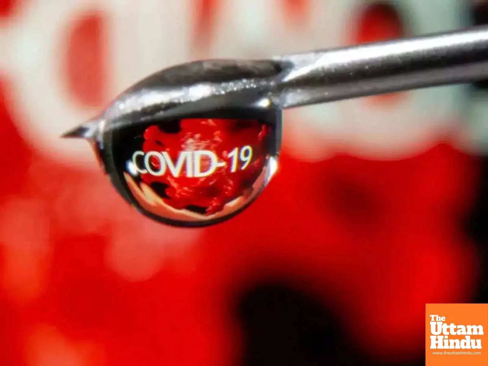 COVID Fear Returns: New Variant Arises Daily Cases Upto to 269 COVID Fear Returns: New Variant Arises Daily Cases Upto to 269