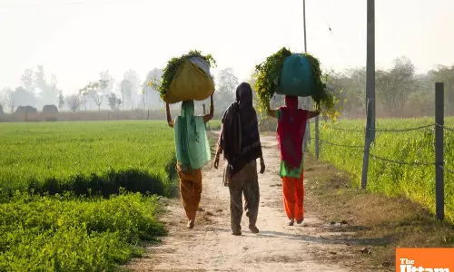 TN farmers rejoice as ‘Mother Cauvery’ arrives, to meet Kuruvai paddy cultivation target