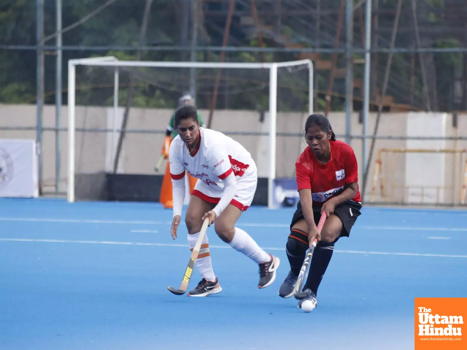Masters Cup hockey: Punjab, Haryana win in womens category; Odisha, Maharashtra in mens section Masters Cup hockey: Punjab, Haryana win in womens category; Odisha, Maharashtra in mens section