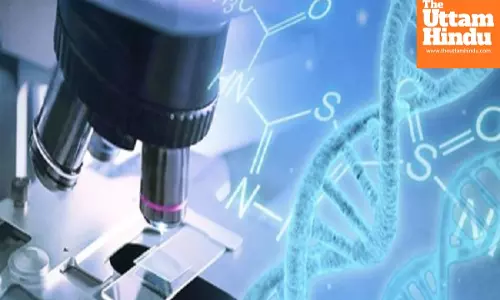 Hope Rises for 40 Million Lives: Scientists Edge Closer to Ending HIV with a Single-Dose Gene Therapy