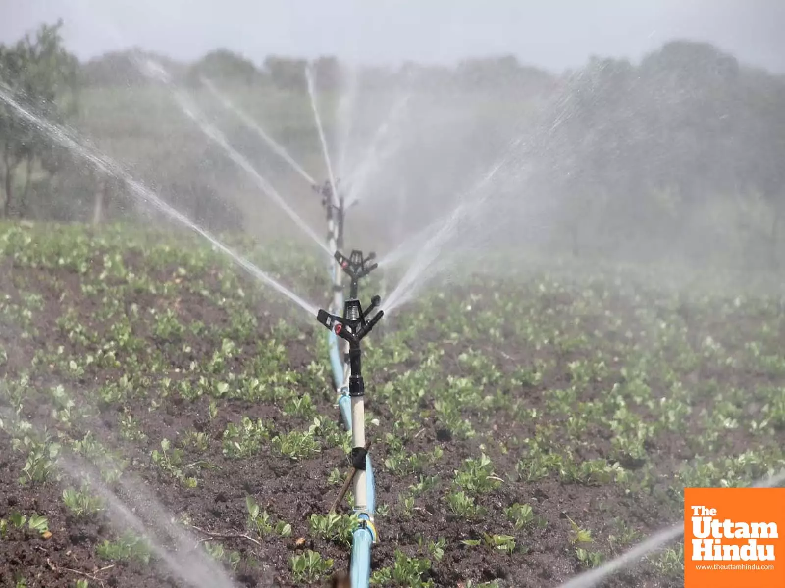 Centre trashes media reports on water charges for farmers under MCAD Scheme Centre trashes media reports on water charges for farmers under MCAD Scheme