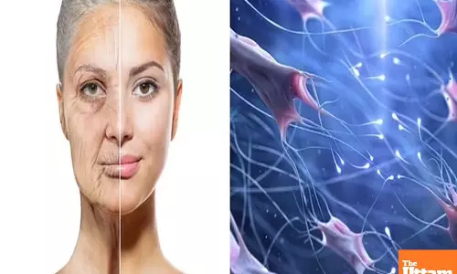 Australian scientists discover proteins that could help fight cancer, slow ageing