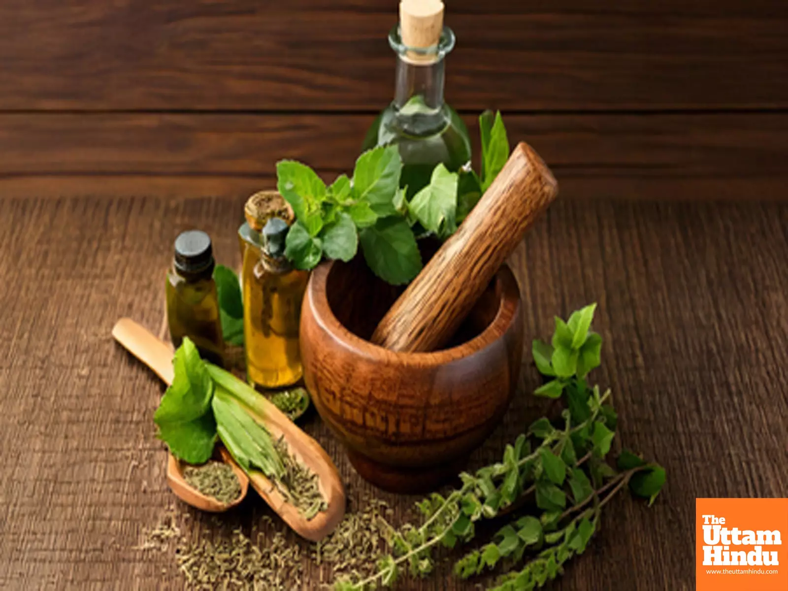 Traditional medicine crucial to achieving global goals of Universal Health Coverage: Ayush Ministry Traditional medicine crucial to achieving global goals of Universal Health Coverage: Ayush Ministry