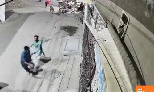 Illegal Pet Lion Sparks Panic in Pakistan, Injures 3 Before Owner’s Arrest