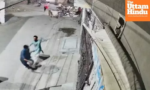 Pakistan Man Arrested After Escaped Pet Lion Injures Three in Lahore; Province Vows Crackdown