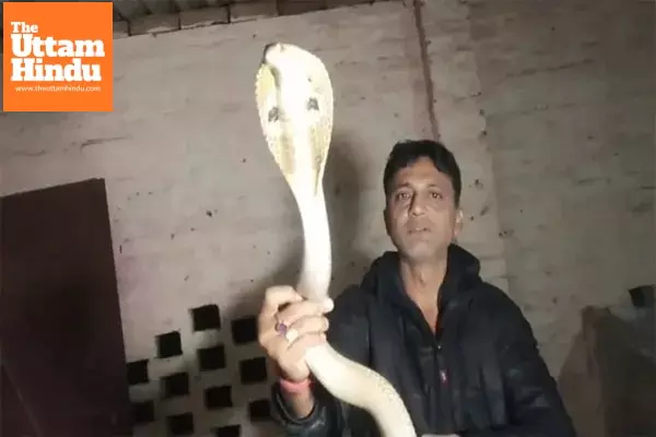 LIVE VIDEO: Snake ‘Trick’ Turns Deadly, Man Dies in 2 Minutes After Cobra Strikes LIVE VIDEO: Snake ‘Trick’ Turns Deadly, Man Dies in 2 Minutes After Cobra Strikes