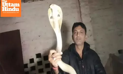 LIVE VIDEO: Snake ‘Trick’ Turns Deadly, Man Dies in 2 Minutes After Cobra Strikes