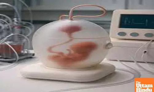 The Future of Human Reproduction? Japan Develops Worlds First Artificial Womb