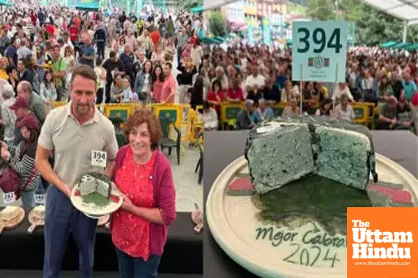 Say Cheese! Worlds Priciest Cheese Sold for a Whopping Rs 35 Lakh