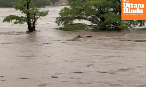 Texas Flood Horror: Over 120 Dead, 170 Missing—Worst Disaster in State’s History