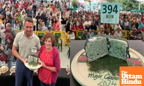 Say Cheese! Worlds Priciest Cheese Sold for a Whopping Rs 35 Lakh