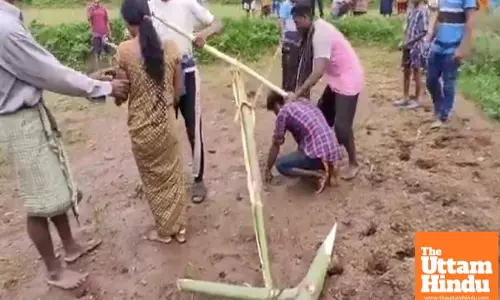 Love Turned into Punishment: Couple Tied Like Oxen, Whipped Brutally in Shocking Village Ritual – Watch the Horrific Video