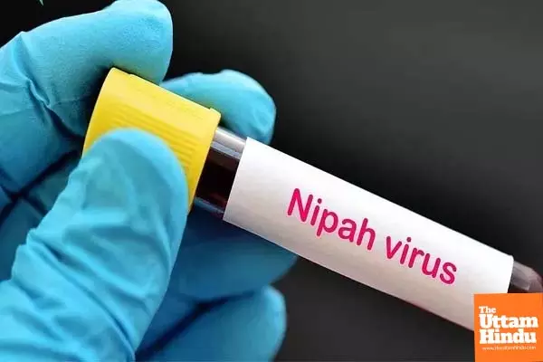 Kerala Nipah Alert: 57-Year-Old Man Dies, Health Dept Intensifies Surveillance Kerala Nipah Alert: 57-Year-Old Man Dies, Health Dept Intensifies Surveillance