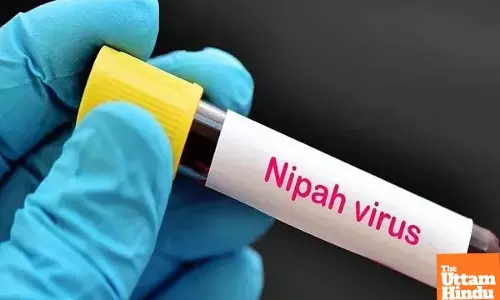 Kerala Nipah Alert: 57-Year-Old Man Dies, Health Dept Intensifies Surveillance