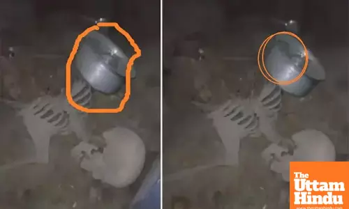 Lost Ball Leads to Discovery of 10-Year-Old Skeleton, Nokia Phone Reveals Dark Secret