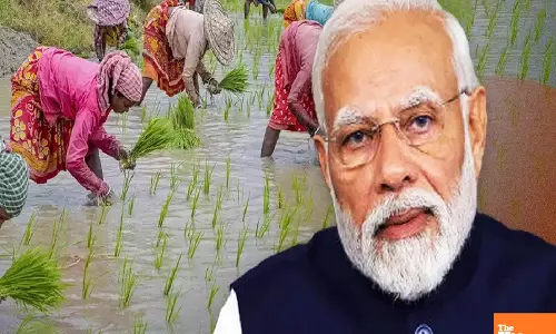 Revolutionizing Indian Agriculture: Govt Launches PM-Dhan-Dhaanya Krishi Yojana for 100 Districts